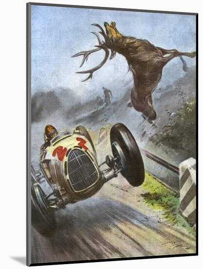 Car Hits Stag-Vittorio Pisani-Mounted Art Print