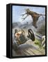 Car Hits Stag-Vittorio Pisani-Framed Stretched Canvas