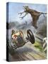 Car Hits Stag-Vittorio Pisani-Stretched Canvas