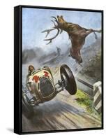 Car Hits Stag-Vittorio Pisani-Framed Stretched Canvas