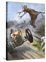 Car Hits Stag-Vittorio Pisani-Stretched Canvas