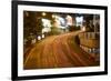 Car light trails on a busy road in Central, Hong Kong Island by night, Hong Kong, China, Asia-Fraser Hall-Framed Photographic Print