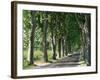 Car on Typical Tree Lined Country Road, Near Pezenas, Herault, Languedoc-Roussillon, France-Ruth Tomlinson-Framed Photographic Print