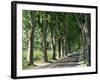 Car on Typical Tree Lined Country Road, Near Pezenas, Herault, Languedoc-Roussillon, France-Ruth Tomlinson-Framed Photographic Print