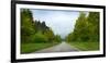 Car on Wet Highway in Springtime, Baden-Wurttemberg, Germany-null-Framed Photographic Print