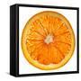 Cara Cara Orange Slice-Steve Gadomski-Framed Stretched Canvas