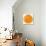 Cara Cara Orange Slice-Steve Gadomski-Stretched Canvas displayed on a wall