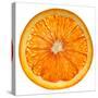 Cara Cara Orange Slice-Steve Gadomski-Stretched Canvas