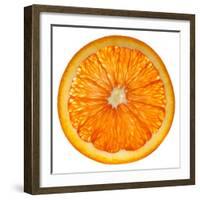 Cara Cara Orange Slice-Steve Gadomski-Framed Premium Photographic Print