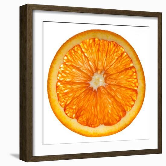 Cara Cara Orange Slice-Steve Gadomski-Framed Premium Photographic Print