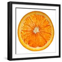 Cara Cara Orange Slice-Steve Gadomski-Framed Premium Photographic Print