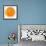 Cara Cara Orange Slice-Steve Gadomski-Framed Premium Photographic Print displayed on a wall