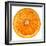 Cara Cara Orange Slice-Steve Gadomski-Framed Premium Photographic Print