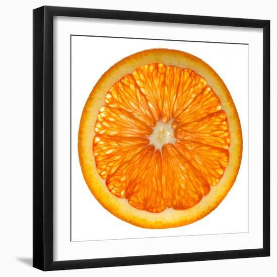 Cara Cara Orange Slice-Steve Gadomski-Framed Premium Photographic Print