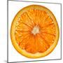 Cara Cara Orange Slice-Steve Gadomski-Mounted Premium Photographic Print