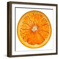 Cara Cara Orange Slice-Steve Gadomski-Framed Photographic Print