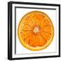 Cara Cara Orange Slice-Steve Gadomski-Framed Photographic Print