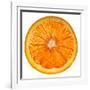 Cara Cara Orange Slice-Steve Gadomski-Framed Photographic Print