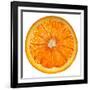 Cara Cara Orange Slice-Steve Gadomski-Framed Photographic Print