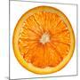Cara Cara Orange Slice-Steve Gadomski-Mounted Photographic Print