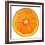 Cara Cara Orange Slice-Steve Gadomski-Framed Photographic Print