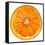 Cara Cara Orange Slice-Steve Gadomski-Framed Stretched Canvas