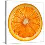 Cara Cara Orange Slice-Steve Gadomski-Stretched Canvas