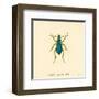 Carabus Cyaneus-A^ Poiteau-Framed Art Print