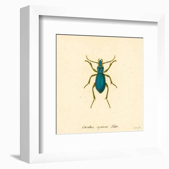 Carabus Cyaneus-A^ Poiteau-Framed Art Print