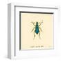 Carabus Cyaneus-A^ Poiteau-Framed Art Print