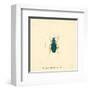 Carabus Fpinibarbis-A^ Poiteau-Framed Art Print