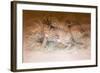 Caracal, 1851-69-Joseph Wolf-Framed Giclee Print