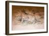 Caracal, 1851-69-Joseph Wolf-Framed Giclee Print