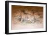 Caracal, 1851-69-Joseph Wolf-Framed Giclee Print