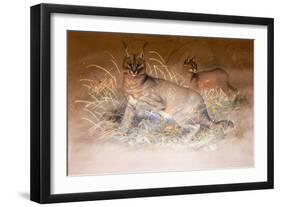 Caracal, 1851-69-Joseph Wolf-Framed Giclee Print