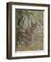 Caracal (Caracal Caracal), Kruger National Park, South Africa, Africa-James Hager-Framed Photographic Print