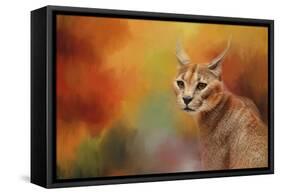 Caracal in Autumn-Jai Johnson-Framed Stretched Canvas