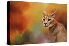 Caracal in Autumn-Jai Johnson-Stretched Canvas