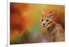 Caracal in Autumn-Jai Johnson-Framed Giclee Print