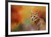 Caracal in Autumn-Jai Johnson-Framed Giclee Print