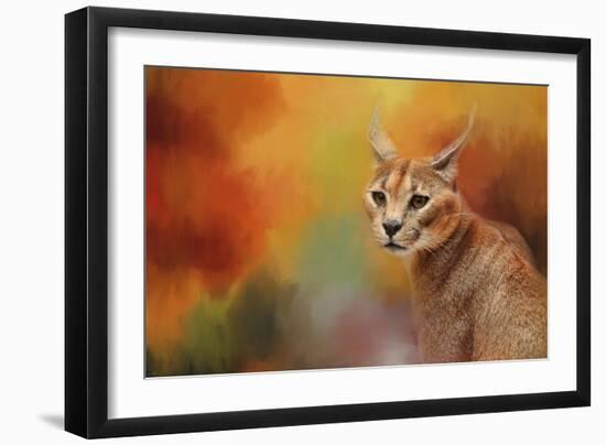 Caracal in Autumn-Jai Johnson-Framed Giclee Print