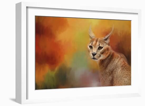 Caracal in Autumn-Jai Johnson-Framed Giclee Print