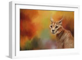 Caracal in Autumn-Jai Johnson-Framed Giclee Print