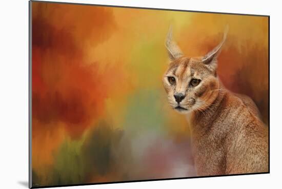 Caracal in Autumn-Jai Johnson-Mounted Giclee Print