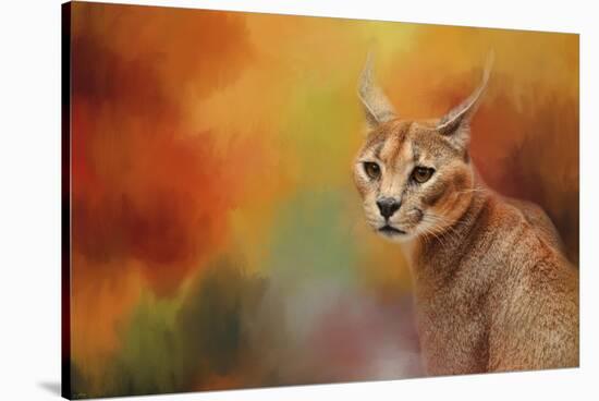 Caracal in Autumn-Jai Johnson-Stretched Canvas