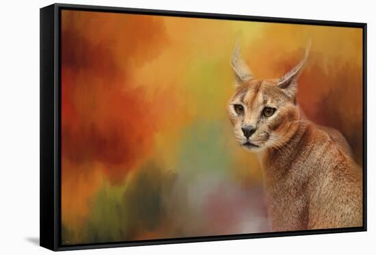 Caracal in Autumn-Jai Johnson-Framed Stretched Canvas