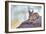 Caracal-Alessandro Catta-Framed Photographic Print