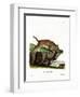 Caracal-null-Framed Giclee Print