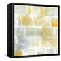 Caracalla III-Sue Schlabach-Framed Stretched Canvas