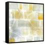 Caracalla III-Sue Schlabach-Framed Stretched Canvas